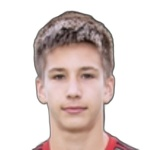 N Kalmokov