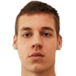 N Krajinović