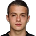 N Mihajlovic