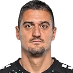 N Nedić
