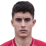 N Nikolis