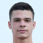 N Savić