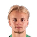 N Vassiljev