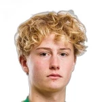 O Tiitinen