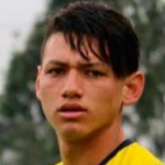 P Bellolio