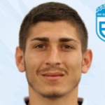 P Gjorgiev