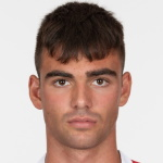P Hašek
