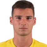 P Leitner