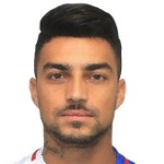 P Magalhaes