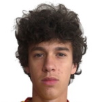 P Pavlicevic