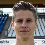 P Schwarz