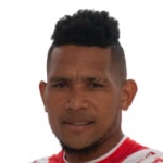 R Dinolis
