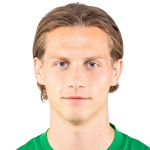S Savić