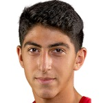 T Sargsyan