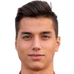 V Dimitrijevic