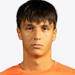 V Jovanovic