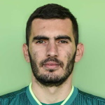 V Pavlović