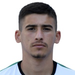 V Vasilev