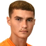 V Velev