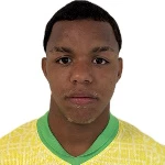 Wesley de Freitas