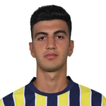 Y Demir