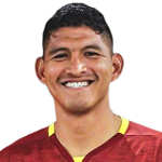 Y Vallejos