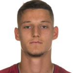 Ž Celar
