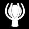 Supercopa Internacional